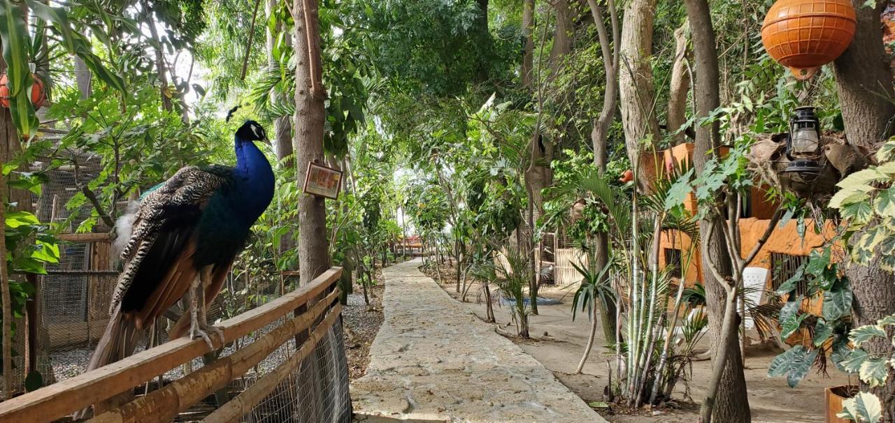 Hosteria Ecologica El Faro ساليناس المظهر الخارجي الصورة