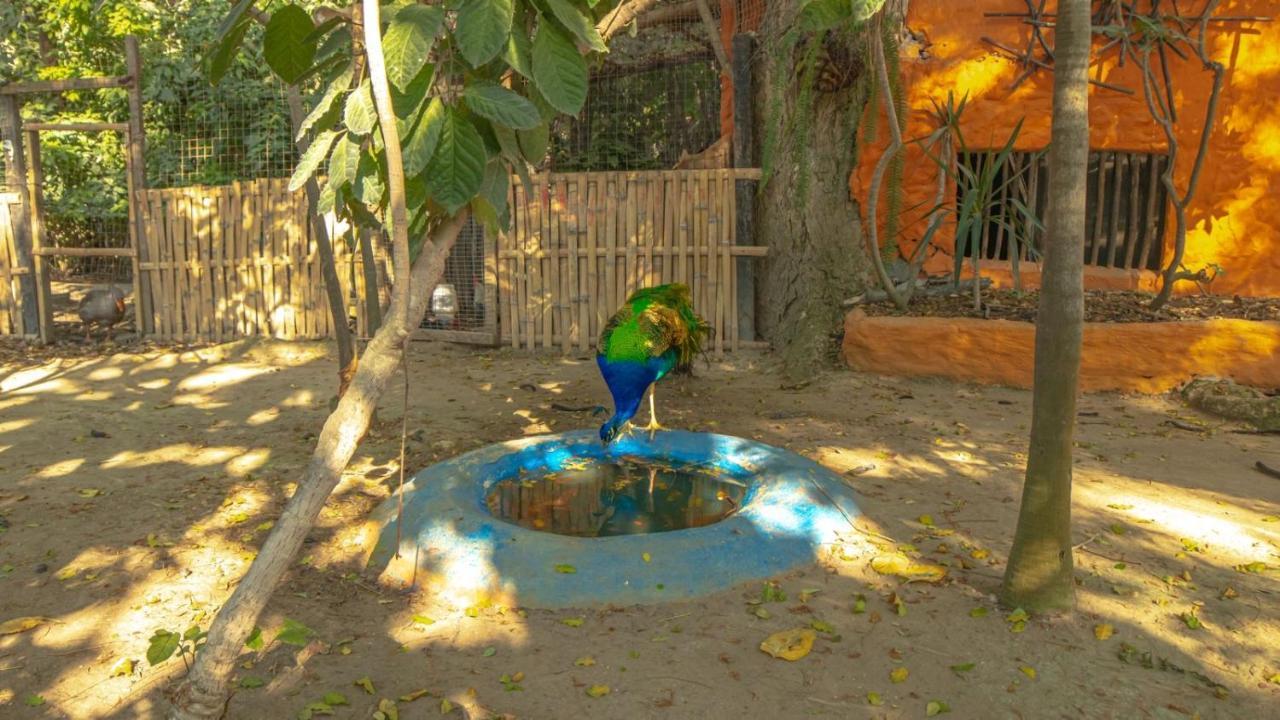 Hosteria Ecologica El Faro ساليناس المظهر الخارجي الصورة